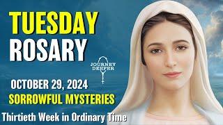 Tuesday Rosary  Sorrowful Mysteries of the Rosary  October 29, 2024 VIRTUAL ROSARY