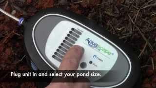 Aquascape Bacteria Dosing system for koi ponds