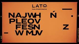 Lato na Fortach :: Daria Zawiałow / 19.07.2020