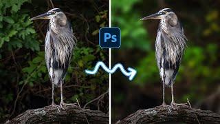 How To Blur Backgrounds in Photoshop [FAST & EASY!] | Photoshop Tutorial