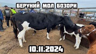 БЕРУНИЙ СИГИР БОЗОРИ 10.11.2024