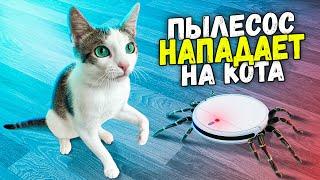 100 часов с котом «Немишкой» из прошлого выпуска. Робот-пылесос нападает на «Немишку» / SANI vlog