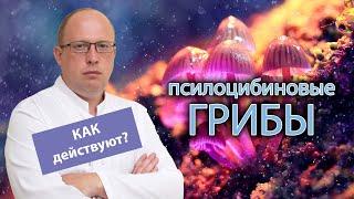  Как действуют псилоцибиновые грибы: в чем опасность? 