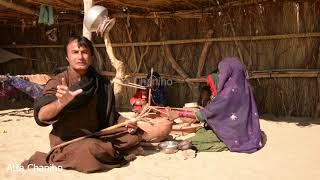 Butter making process | rural Sindh | culture of Sindh | Shah latif's poetry | Sur sarang | Marvi