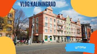 VLOG: KALININGRAD 9 / В поисках штор. Южный парк. Домик смотрителя в Калининграде.