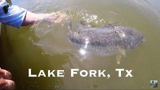 Lake Fork Spring Bass Fishing with YourLakeForkGuide