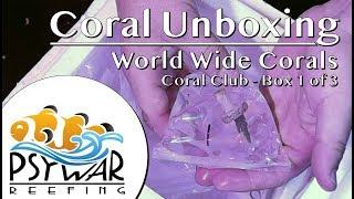 Coral Unboxing - World Wide Corals - Coral Club - Box 1 of 3