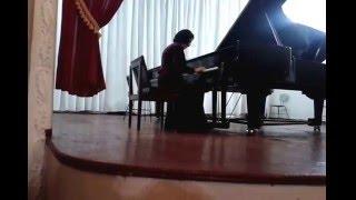 R.Schumann  Kreisleriana Op.16-Svetlana Antonova