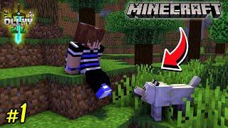 Minecraft Survival Series Ollyy 2.0 Episode-1 / Adil Gamez