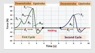 Instrumental Texture Profile Analysis (TPA) of Foods: Basic Understanding