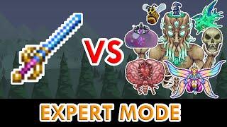 Terraria 1.4 - Starlight vs ALL Bosses (Expert Mode)