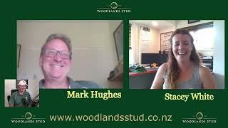 Virtual Yearling Parade with Woodlands Stud NZ