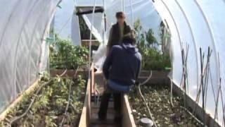 Rooftop Gardening is a Growing Trend in New York City