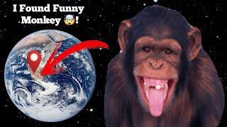 I Found Funny Monkey  on google maps and google earth  #maps #earth #hrgoogleearth