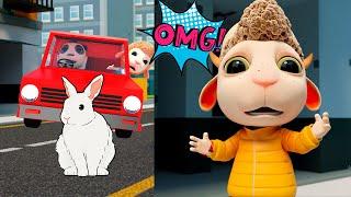 We Urgently Need To Save The Rabbit | Collection Of Kids Cartoon | Dolly and Friends 3D