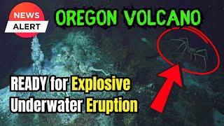 Underwater Mega volcano Set to Release Millions of Tons of Lava, Experts Warn ! #AxialSeamount