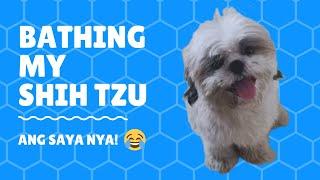 BATHING MY SHIH TZU | ANG SAYA NYA OH!  | My Name Is ARGUS