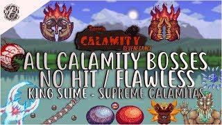 OUTDATED - Calamity Revengeance - All OLD Boss Fights NO HIT / FLAWLESS [Version 1.2.0.4]