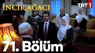 İncir Ağacı 71. Bölüm