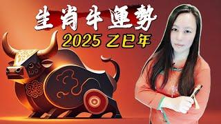 靈機靈姬學院-紫微斗數-2025 乙巳年 十二生肖運勢-牛  Zi Wei Dou Shu is a branch of Chinese Astrology.