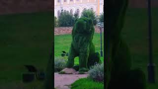 Топиарные Фигуры