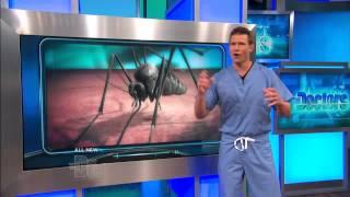 How West Nile Virus Affects the Body -- The Doctors