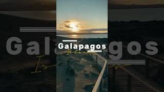 The magic of the Galápagos Islands