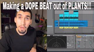 How to Make a PLANT BASED Beat in Ableton Live 10