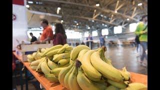 Evakuierung in Frankfurt: Die Messehalle als Zuflucht