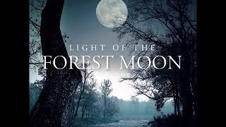 Phil Thornton - Light of the Forest Moon (Full Album) World, New age, Relax