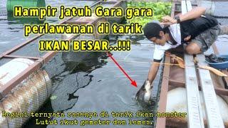 ikan super Besar ahirnya takluk juga rekor pribadi - Mancing KJA Cirata terbaru..!!!