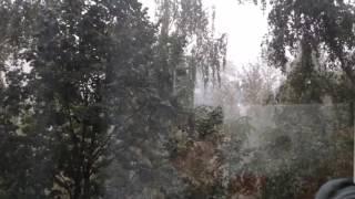 Мои любимые актеры......