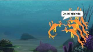 Weedy Sea Dragon - Molly, Karen, Chris, & Shumit