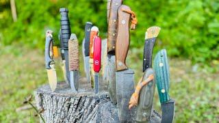 Survival Knife 101: What to Look for in a Reliable Blade