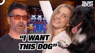 You Have Never Seen a Dog Dance Like This! | America's Got Talent 2024