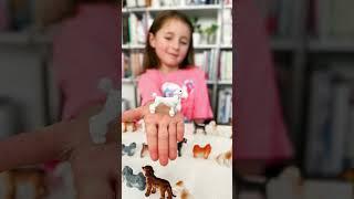 Walk the Dogs | 2023 NAPPA Award Winner