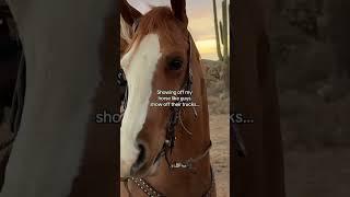 Check out the horse power on this thing 