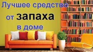 Как устранить неприятный запах в квартире. Самое эффективное средство от запаха в доме.