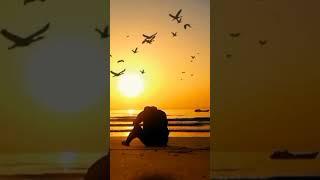 RAUF SAEED OFFICIAL #viral