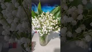 Доброе утро#свойдом #работа #рабочийдень #утро #приятноеутро #хорошийдень #пожеланиесдобрымутром