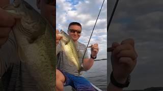 Structure vs. cover #shorts #fishing #fish #bassfishing #bass #fishinglife #omniafishing #fun #1k
