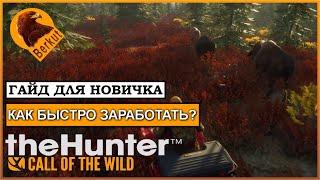  ГАЙД: Как быстро заработать в загонной охоте в одиночку? theHunter: Call of the Wild.