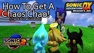 How To Get A Chaos Chao in Sonic Adventure 2 and DX! (Tips, Animal Locations & More)