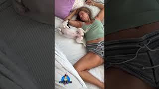 Weird how dogs can look and act like their humans. #themaryburke #maryburke #askmaryburke