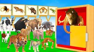 Guess The Right Animal Image With Elephant Cow Tiger Hippo Buffalo 5 Time Challenge Long Slide