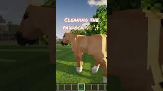 Cleaning  Again  #minecraft #swem #shorts