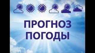 Прогноз погоды в Рыбинске на 20 ноября 2018 года