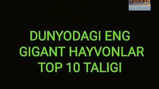 Sayyoramizdagi gigant hayvonlarning top 10 taligi #Titanaboa #Tarix