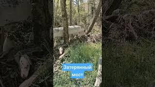 Мы нашли затерянный мост! Тюменский, Туапсинский район 