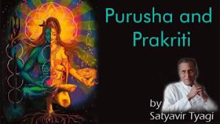 पुरुष और प्रकृति Purusha and Prakriti by Satyavir Tyagi - Hindi